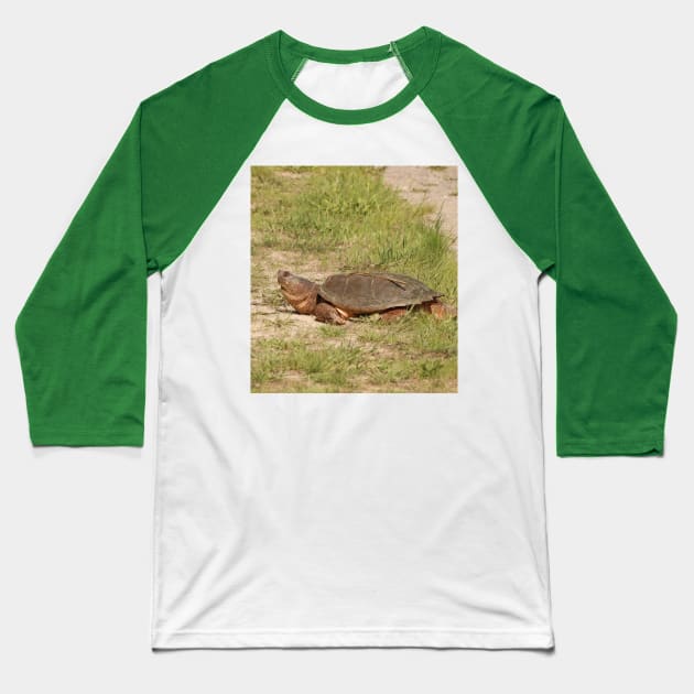 An Old Snapping Turtle Surveying the Surroundings Baseball T-Shirt by Judy Geller